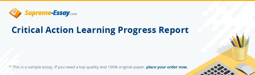 Critical Action Learning Progress Report