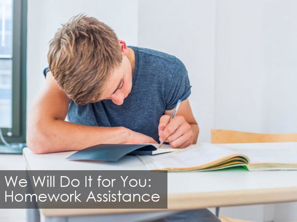 We will Do It for You: Homework Assistance